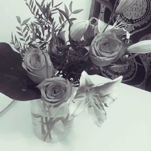 Meet your Posher, Rita